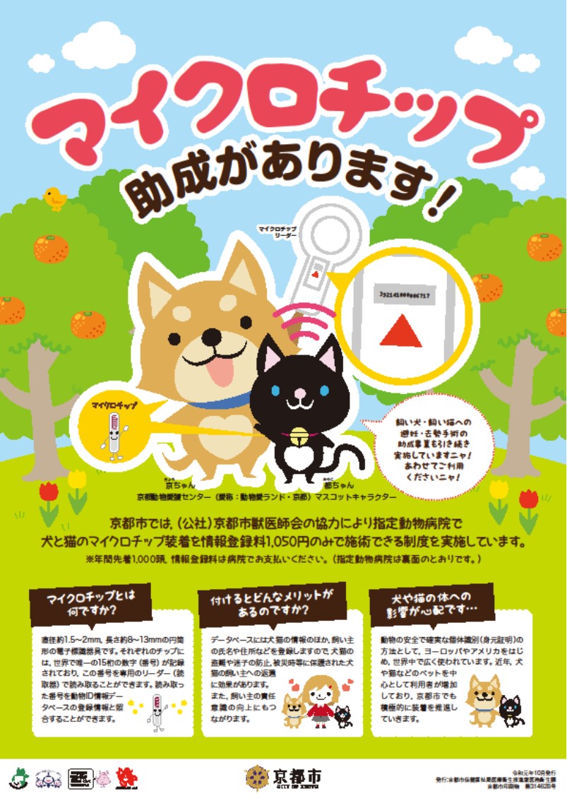 京都動物愛護センター コラム マイクロチップの装着について