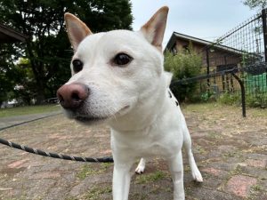 センター名:シンイチ(検討中の方がおられます)