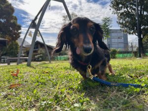 センター名：さち