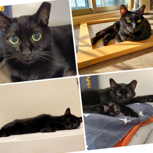 センター名：くぅ