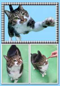 センター名：だいふく