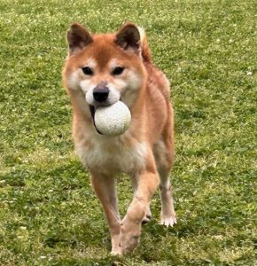 センター名：カイト（検討中の方がいます）