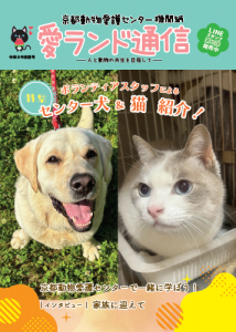 令和８年夏号